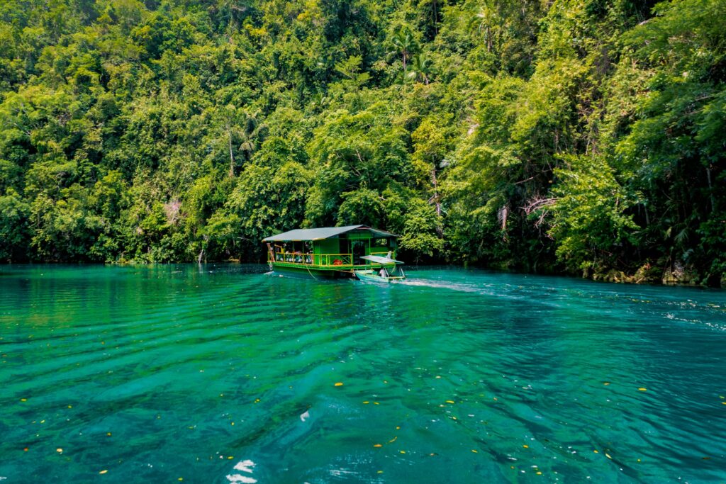 Loboc River